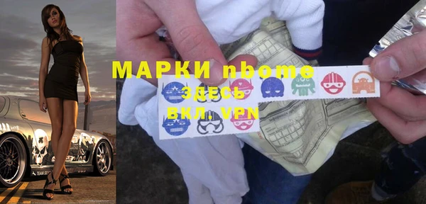 шишки Осинники